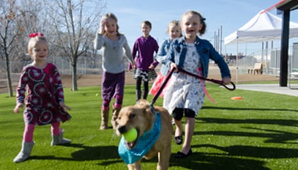 Beneful Dream Dog Park